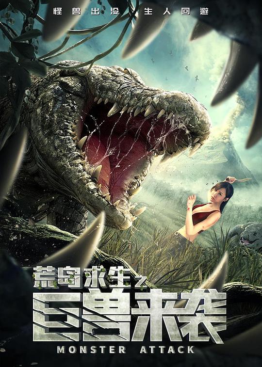 功夫四侠电影影视海报