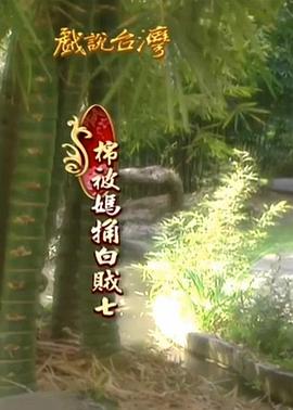 窦文涛2019年最新节目影视海报