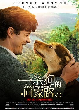 龙在江湖李国豪影视海报