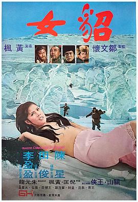 妮基塔影视海报